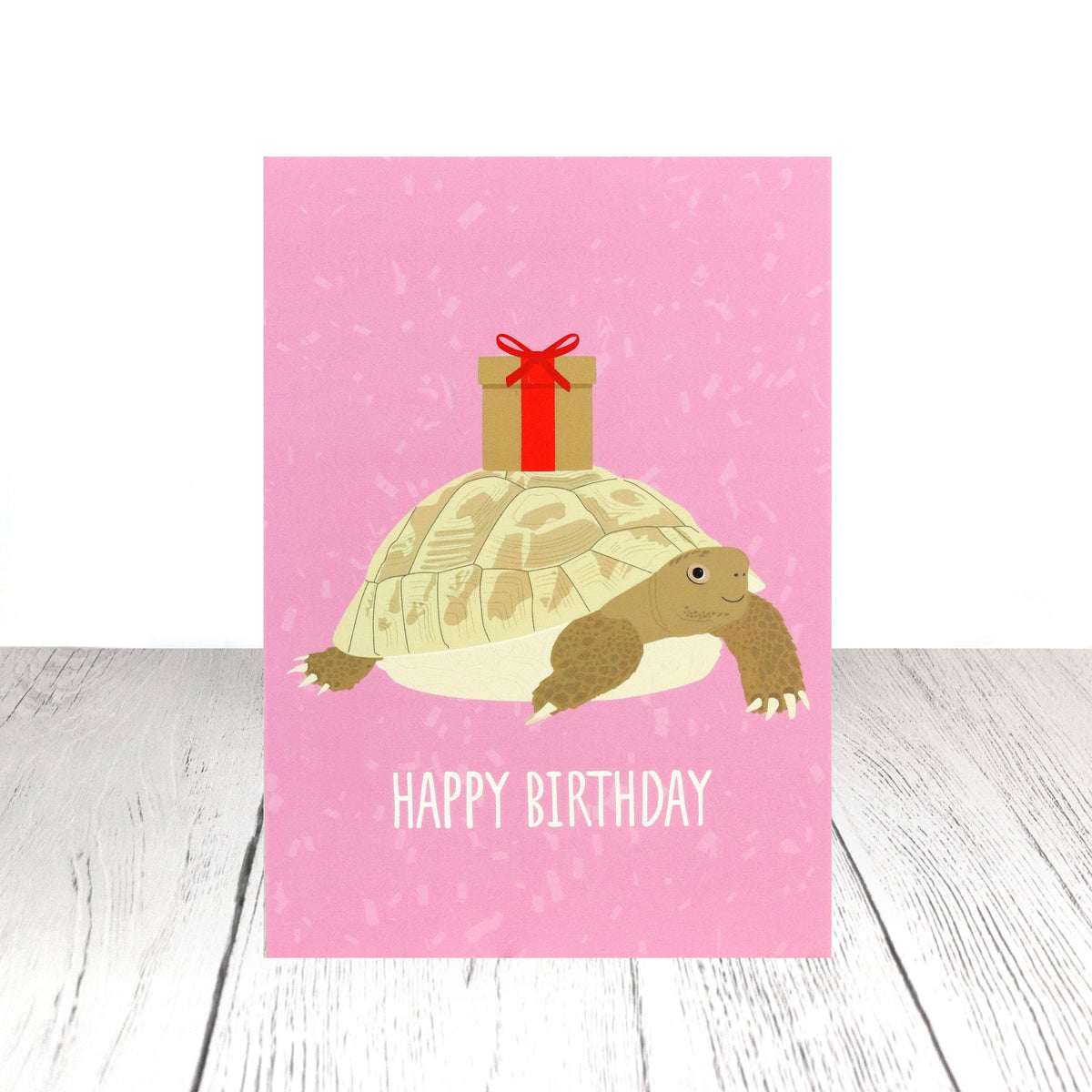 Tortoise turtle birthday card